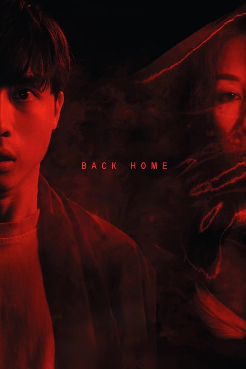 Movie poster for Back Home (2023)