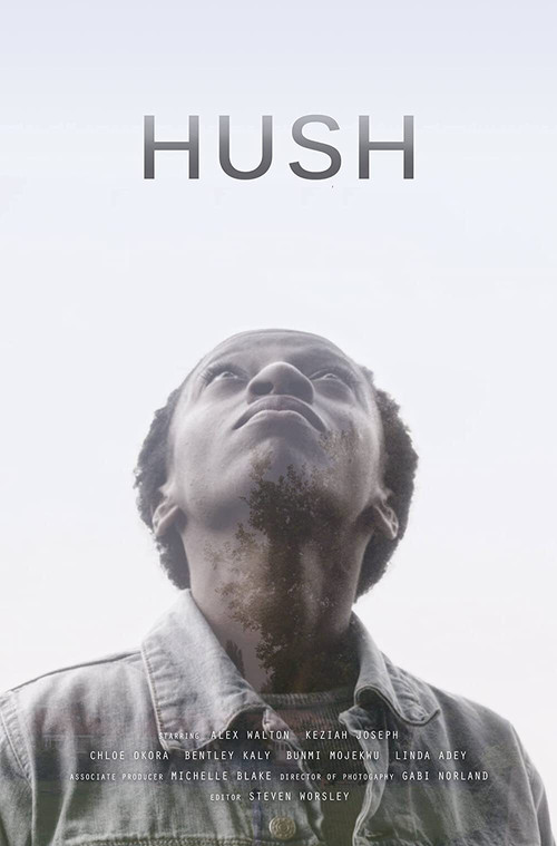 Movie poster for Hush (2016)