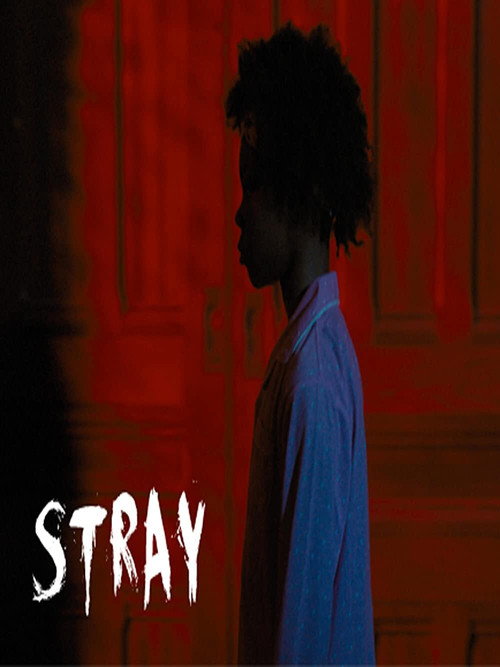 Movie poster for Stray (2020)