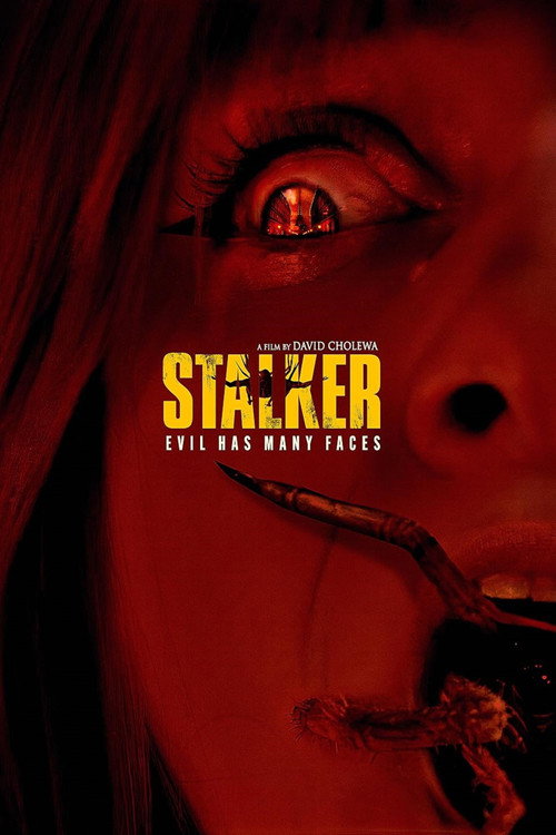 Movie poster for Stalker (2025)