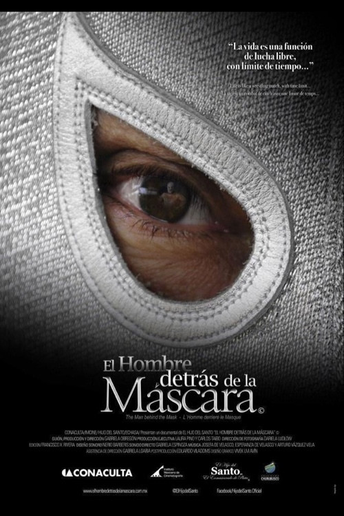 Movie poster for The Man Behind the Mask (2013)