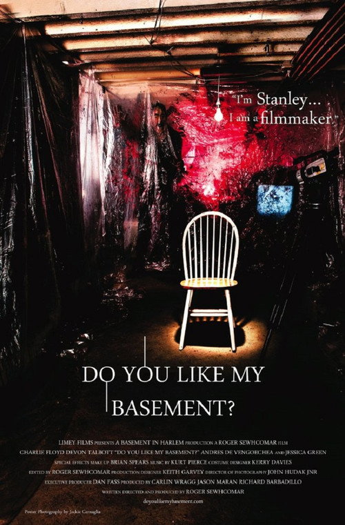 Movie poster for Do You Like My Basement? (2014)