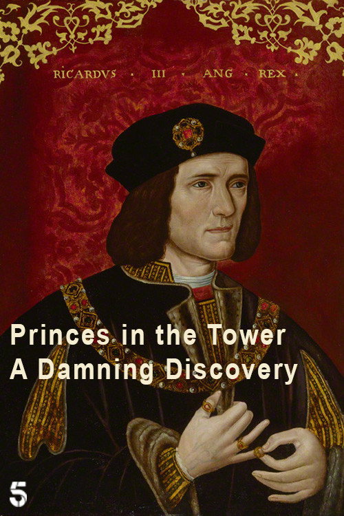 Movie poster for Princes in the Tower: A Damning Discovery (2024)