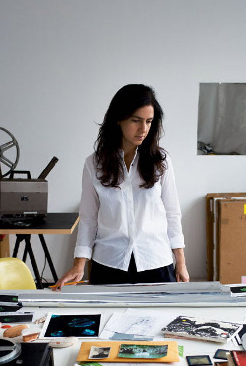 Photo of Amie Siegel, Directing