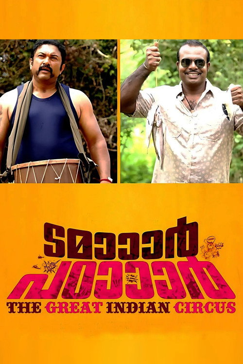 Movie poster for Tamaar Padaar (2014)