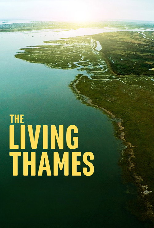 Movie poster for The Living Thames (2019)
