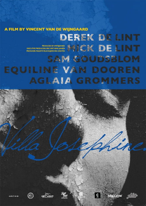Movie poster for Villa Josephine (2010)