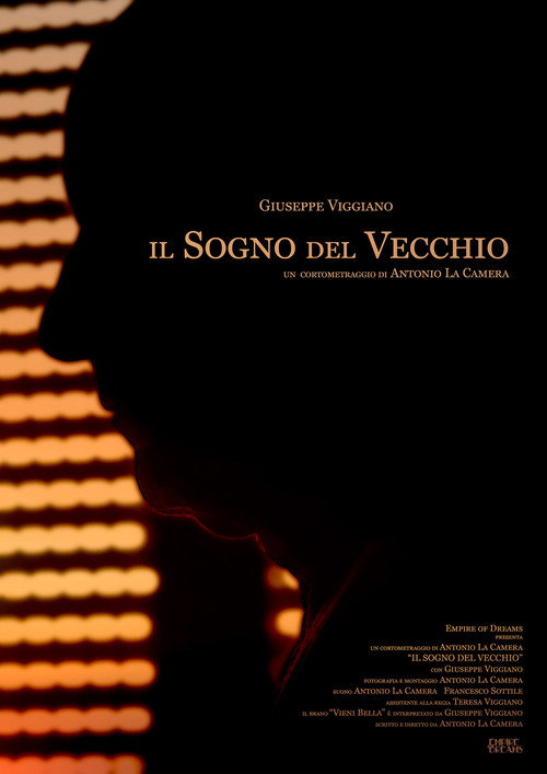 Movie poster for Il Sogno del Vecchio (2016)