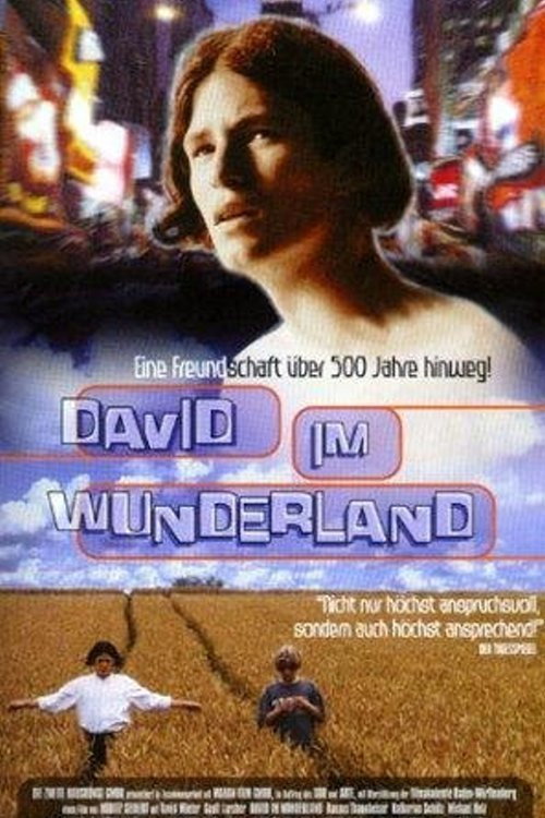 Movie poster for David im Wunderland (1998)