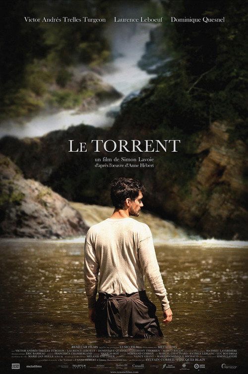 Movie poster for The Torrent (2012)