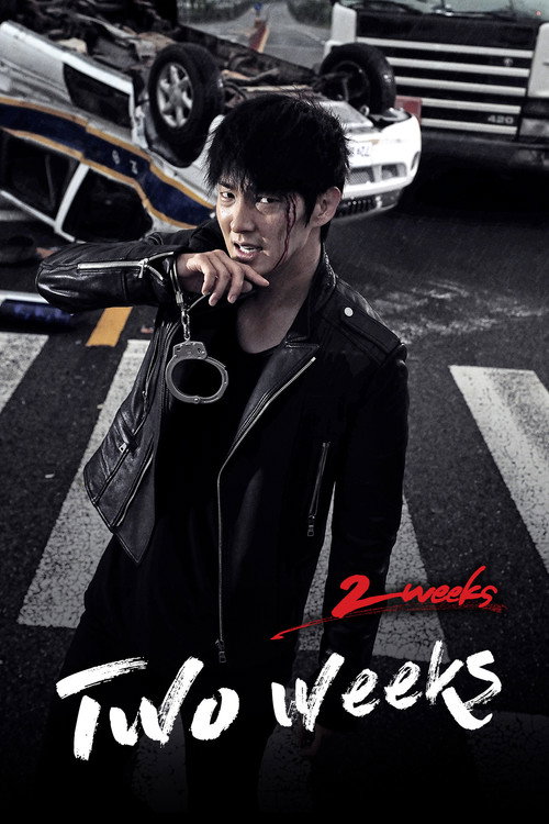Series poster for Two Weeks (2013)