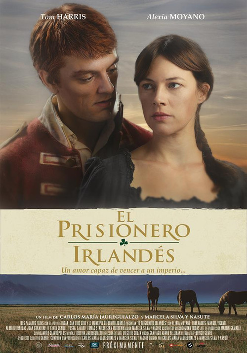 Movie poster for El prisionero irlandés (2015)