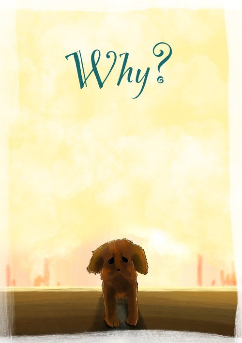 Movie poster for Why?