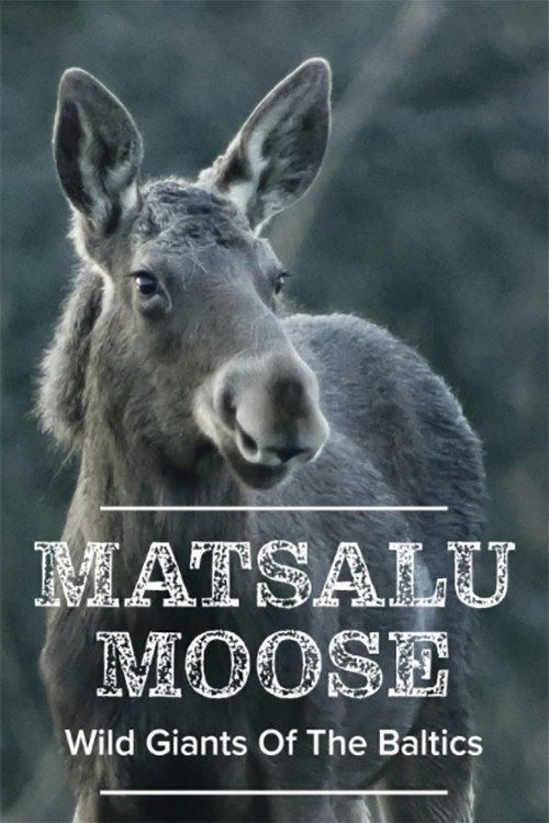 Movie poster for Matsalu Moose: Wild Giants of the Baltics (2019)