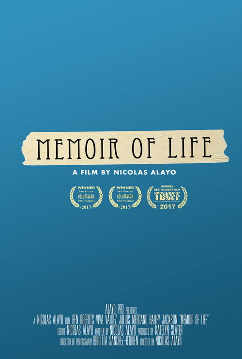 Movie poster for Memoir of Life (2017)