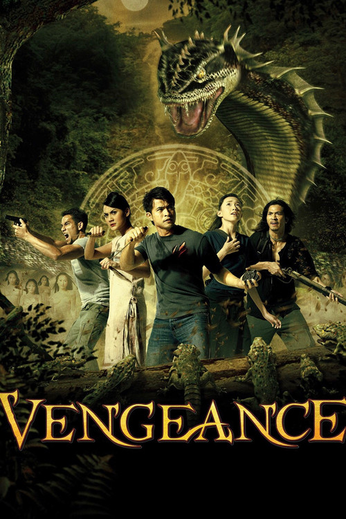 Movie poster for Vengeance (2006)