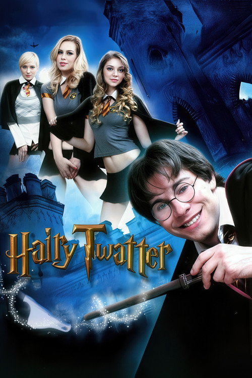 Movie poster for Hairy Twatter: A DreamZone Parody (2012)