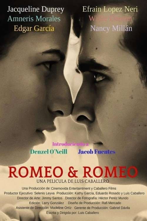 Movie poster for Romeo y Romeo (2015)