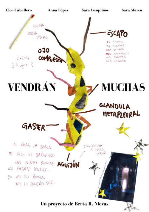 Movie poster for Vendrán muchas