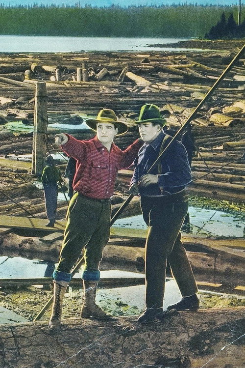 Movie poster for Big Timber (1924)