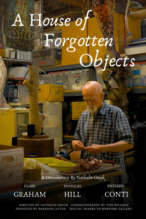 Movie poster for A House of Forgotten Objects (2025)