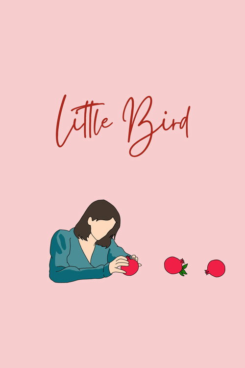 Movie poster for Little Bird (2024)