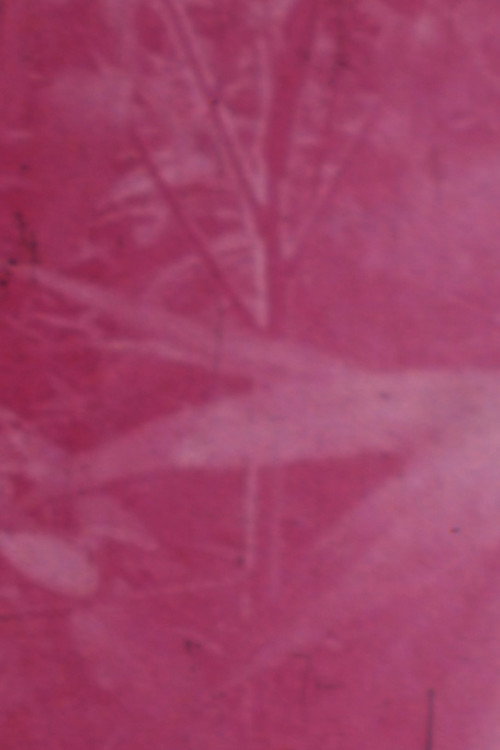 Movie poster for Ornamentals (1979)