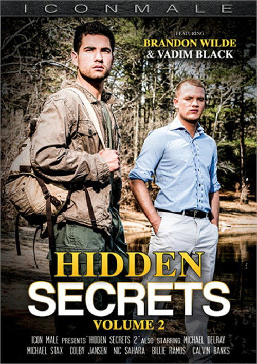 Movie poster for Hidden Secrets 2 (2025)