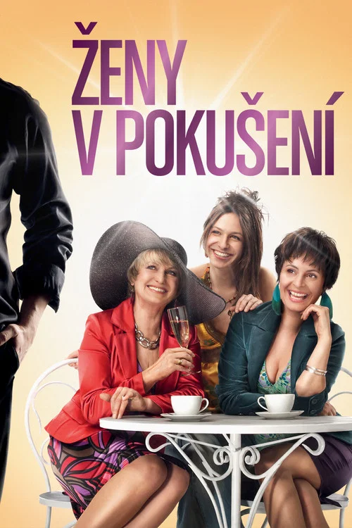 Movie poster for Women in Temptation (2010)