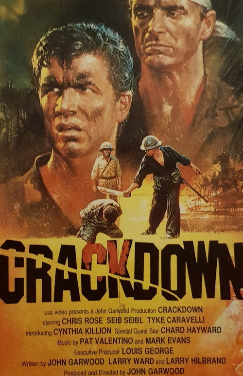 Movie poster for Crackdown (1988)