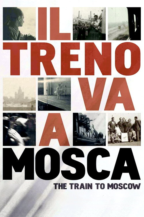 Movie poster for The Train to Moscow (2013)