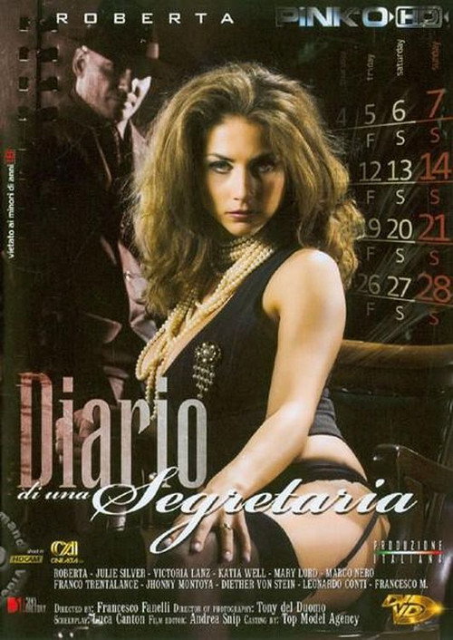 Movie poster for Diary of a Secretary (2007)
