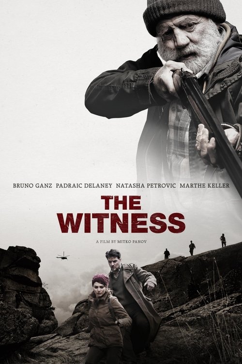Movie poster for The Witness (2019)