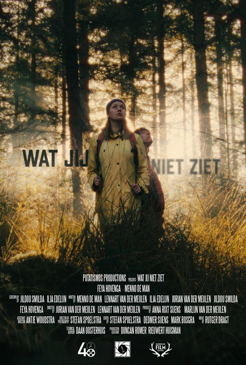 Movie poster for wat jij niet ziet (2021)