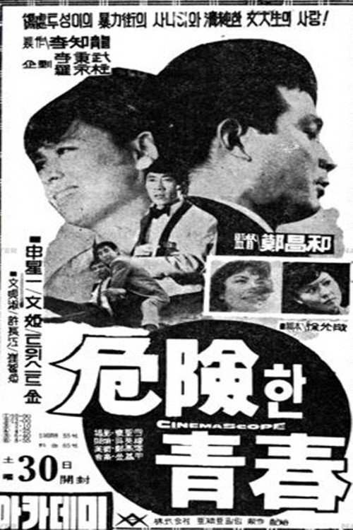 Movie poster for Dangerous Youth (1966)