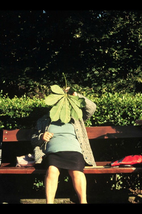 Movie poster for Past Perfect (2002)