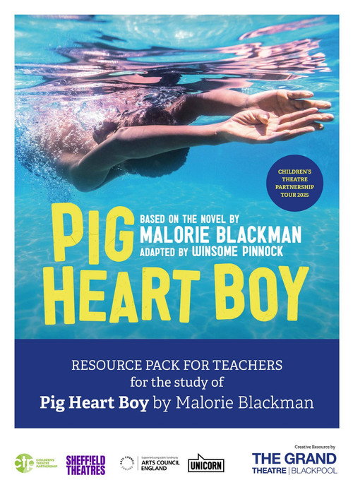 Movie poster for Pig Heart Boy (1999)