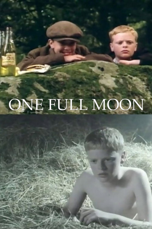 Movie poster for One Full Moon (1991)