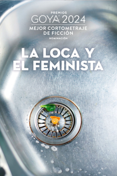 Movie poster for The madwoman and the feminist (2022)