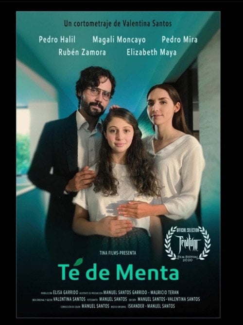 Movie poster for Mint Tea (2020)