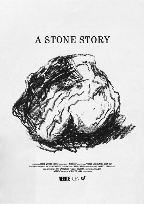 Movie poster for A Stone Story (2024)
