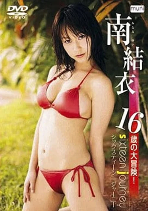 Movie poster for sixteen journey (2007)