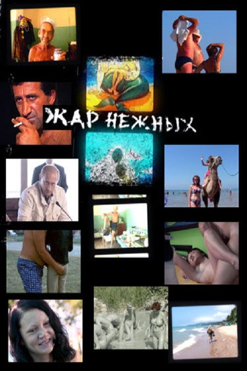 Movie poster for Tender's Heat: Wild Wild Beach (2006)