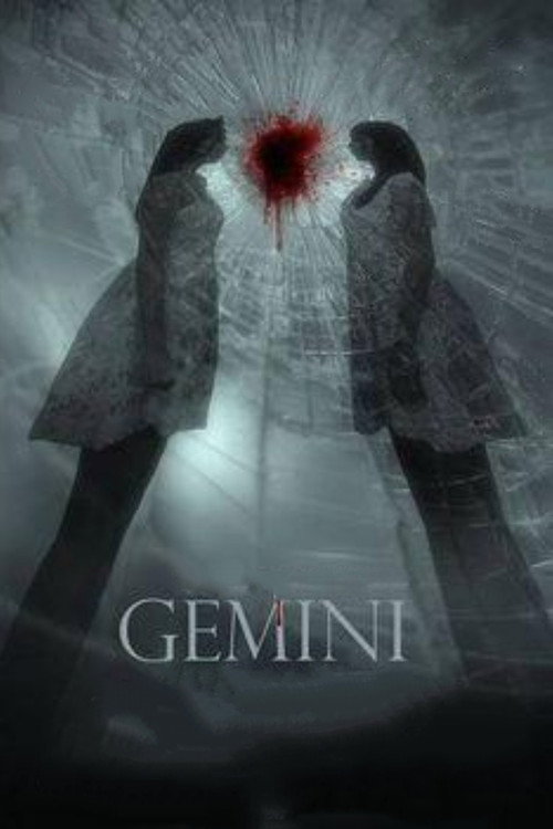 Movie poster for Gemini (2014)