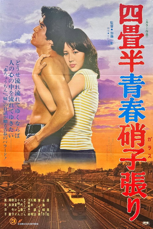 Movie poster for Yojōhan seishun garasu-bari (1976)