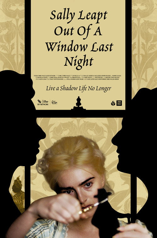 Movie poster for Sally Leapt Out of a Window Last Night (2023)