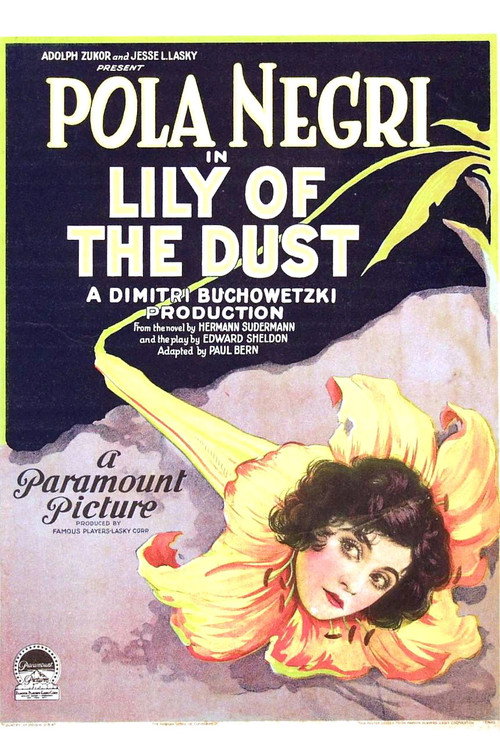 Movie poster for Lily of the Dust (1924)