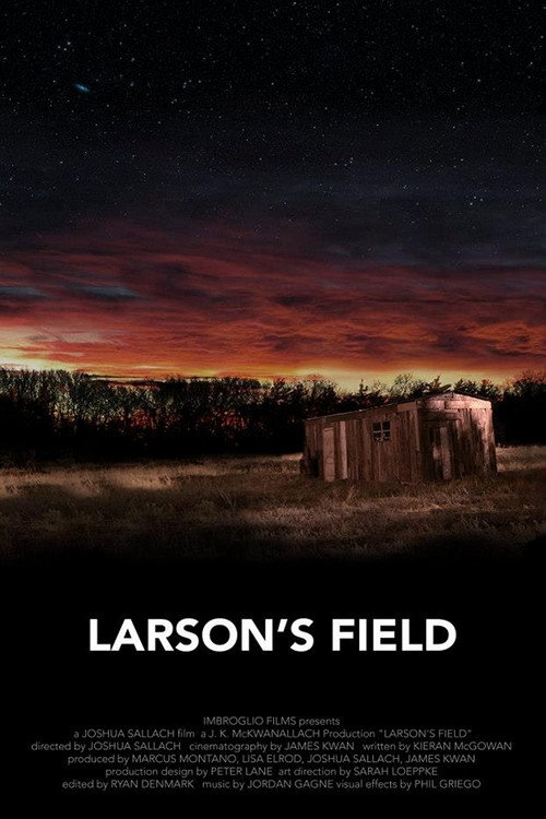 Movie poster for Larson's Field (2013)