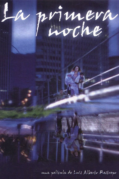 Movie poster for The First Night (2003)