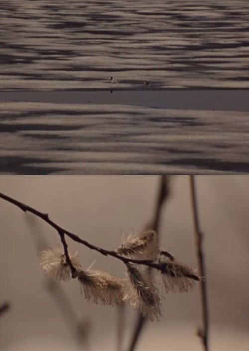 Movie poster for Spring Beaver